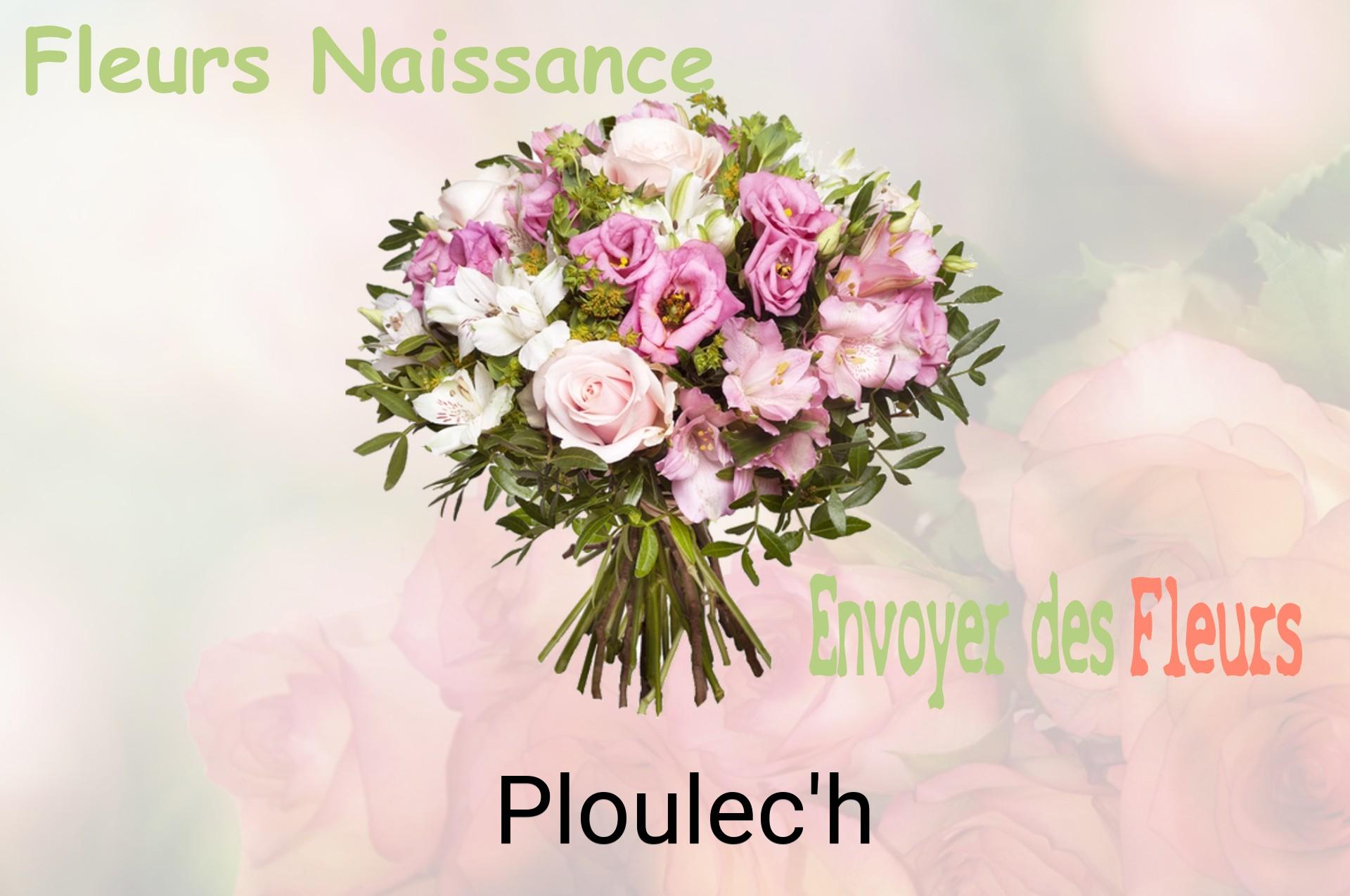 Bouquet de fleurs de naissance livré à Ploulec'h